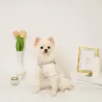 反射フラワー刺繍ハーネス+リードSET【名入れ刺繍対応】 - Image 4