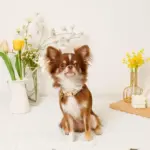 フラワーチャーム刺繍カラー+リードSET【名入れ彫刻対応】 - Image 5