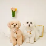 フラワーチャーム刺繍カラー+リードSET【名入れ彫刻対応】 - Image 8