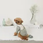 冷感マーガレット柄ハーネス+リードSET【名入れ刺繍対応】【保冷剤付き】 - Image 5