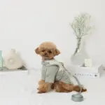 冷感マーガレット柄ハーネス+リードSET【名入れ刺繍対応】【保冷剤付き】 - Image 7