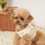 リンゴ柄刺繍ハーネス+リードSET【名入れ刺繍対応】 - Image 6