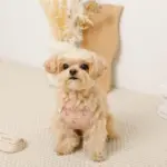 さくらんぼ刺繍ハーネス+リードSET【名入れ刺繍対応】 - Image 5