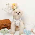 恐竜柄刺繍ハーネス+リードSET【名入れ刺繍対応】 - Image 8