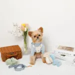 恐竜柄刺繍ハーネス+リードSET【名入れ刺繍対応】 - Image 9