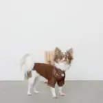 サークルチャームチェーンネックレス【名入れ彫刻対応】 - Image 5