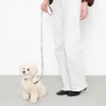 バイカラーレザーリード - Image 8