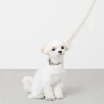 シュリンクレザーコットンライクリード - Image 6