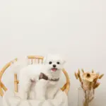 ソフトメッシュハーネス - Image 10