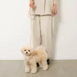 ソフトラバーハーネス+リードSET - Image 7