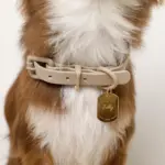 ソフトラバーカラー＋リードSET【名入れ彫刻対応】 - Image 10