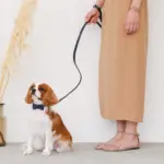 オーストレザーリボンカラー【名入れ彫刻対応】 - Image 10