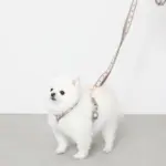 2wayフラワーテープリード - Image 4