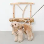 2wayフラワーテープリード - Image 7