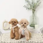 PUレザーテープハーネス+リードSET - Image 6