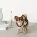 チューリップ柄ハーネス+リードSET【名入れ刺繍対応】 - Image 9