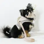 フード付きボーダーハーネス+リードSET【名入れ刺繍対応】 - Image 4