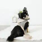 フード付きボーダーハーネス+リードSET【名入れ刺繍対応】 - Image 8