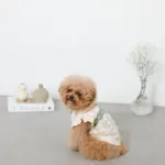 反射ほし柄ハーネス - Image 5