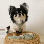 2way反射ほし柄リード - Image 3