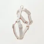 ギンガムチェックハーネス+リードSET【名入れ刺繍対応】