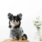 ギンガムチェックハーネス+リードSET【名入れ刺繍対応】 - Image 6