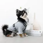 ギンガムチェックハーネス+リードSET【名入れ刺繍対応】 - Image 7