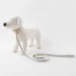 チェックカラー＋リードSET【名入れ彫刻対応】 - Image 10