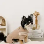 ボアコンビハーネス＋リードSET【名入れ刺繍対応】 - Image 9