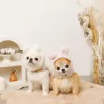 うさぎ耳付きフードファーハーネス - Image 9