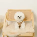 エコレザーボアMIXハーネス+リードSET【名入れ刺繍対応】 - Image 2