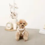 エコレザーボアMIXハーネス+リードSET【名入れ刺繍対応】 - Image 4