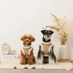 エコレザーボアMIXハーネス+リードSET【名入れ刺繍対応】 - Image 9