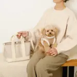 エコレザーボアMIXハーネス+リードSET【名入れ刺繍対応】 - Image 10