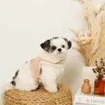 ムートン風ハーネス+リードSET【名入れ刺繍対応】 - Image 7