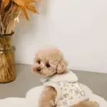 スカラップカラー花柄キルティングハーネス+リードSET【名入れ刺繍対応】 - Image 4