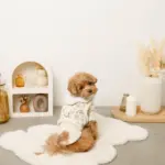 スカラップカラー花柄キルティングハーネス+リードSET【名入れ刺繍対応】 - Image 6