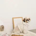 スカラップカラー花柄キルティングハーネス+リードSET【名入れ刺繍対応】 - Image 10