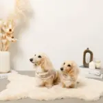 ボアウールハーネス - Image 5