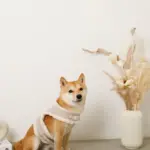 ボアウールハーネス - Image 7