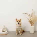 ボアウールハーネス - Image 9