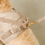 キルティングボアハーネス+リードSET【名入れ刺繍対応】 - Image 3