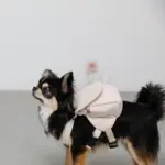 ニュアンスカラーリュックハーネス【名入れ刺繍対応】 - Image 2