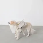 ニュアンスカラーリュックハーネス【名入れ刺繍対応】 - Image 10