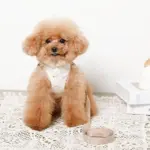 tomboniaコラボハーネス+リードSET【名入れ刺繍対応】 - Image 5