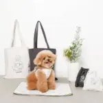 tomboniaコラボハーネス+リードSET【名入れ刺繍対応】 - Image 7