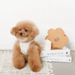 tomboniaコラボハーネス+リードSET【名入れ刺繍対応】 - Image 8