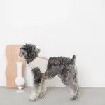 ギンガムチェックハーネス - Image 5