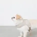 ギンガムチェックハーネス - Image 7