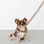 ギンガムチェックチェリーハーネス - Image 4